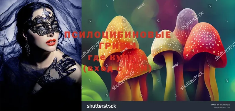 Псилоцибиновые грибы Magic Shrooms  Бодайбо 